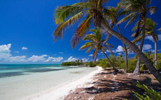 Luxury Resorts